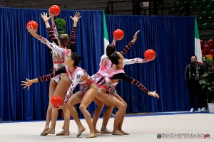 farfalle 0020 sfa 8370 copia